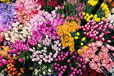 《全面战争3：战锤》DLC《苦难之潮》预告片发布！12月4日上线