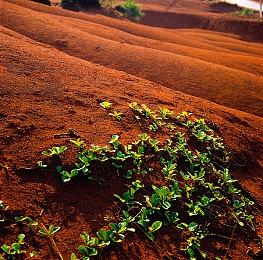 复古FPS游戏《DUSK》登陆Switch平台 官方发布新预告片